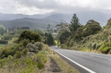 25. yolun yeşil yamaçta tırmandığı manzara, Coromandel, Kuzey Adası, Yeni Zelanda yakınlarındaki parlak bahar ışığı altında çekildi.