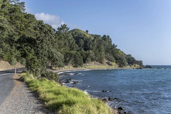 Thames Firth Güneyindeki Kıyı Yolu Manzarası Wilson Körfezi Coromandel Kuzey — Stok fotoğraf