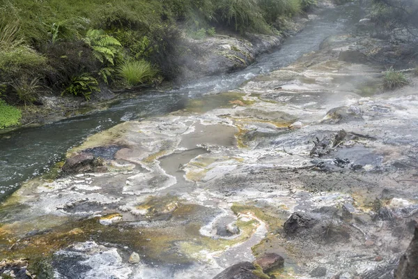 Köd Ásványi Üledékek Waimangu Völgy Parkjában Lévő Patak Forró Forrásaiból — Stock Fotó
