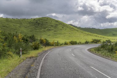 Yeşil tepenin yanındaki yol bükme alanı yumuşak kırsalda koyunlarla kaplı, Whakarewarewa, Waikato, Kuzey Adası, Yeni Zelanda yakınlarındaki parlak bahar ışığı altında çekilmiş.
