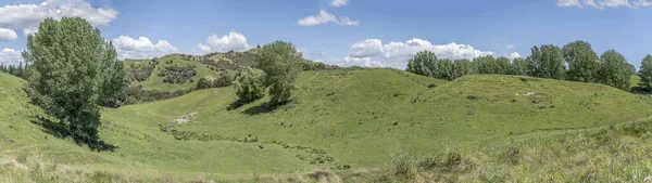 Paesaggio Con Dolci Pendii Verdi Campagna Collinare Scattato Piena Luce — Foto Stock