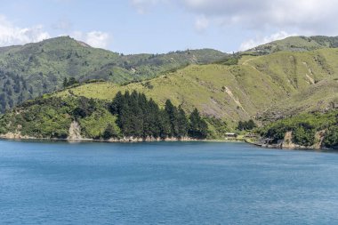 Yeşil kırsal kesimdeki küçük körfezde izole edilmiş bir ev manzarası. Queen Charlotte Sound, Güney Adası, Yeni Zelanda 'da parlak bir bahar ışığı altında çekilmiş.