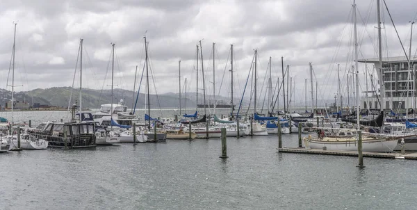 Wellington New Zealand November 2019 Cityscape Sail Boats Quays Leisure — 图库照片