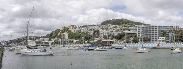 Wellington Nueva Zelanda Noviembre 2019 Paisaje Urbano Con Embarcaciones Amarradas — Foto de Stock