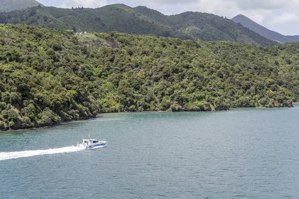 Picton New Zealand November 2019 Tourist Boat Sailing Fjord Waters — Stockfoto