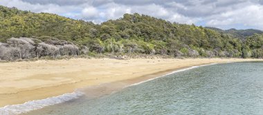 Kum plajı ve yemyeşil yağmur ormanı bitki örtüsüyle kaplı manzara, Anchorage körfezinde parlak bir bahar ışığı altında çekildi, Abel Tasman Park, Güney Adası, Yeni Zelanda