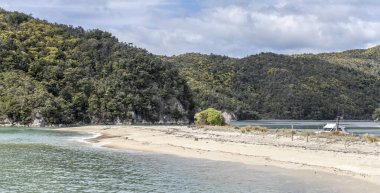 Torrent Koyu 'nda kum birikintisi olan manzara, Kaiteriteri, Abel Tasman Parkı, Güney Adası, Yeni Zelanda yakınlarındaki parlak bahar ışığında çekildi.
