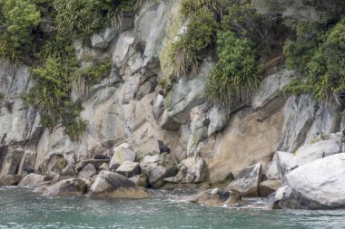 Ada kıyısındaki kayalıklarda foklar, Tonga adasında parlak bir bahar ışığı altında, Kaiteriteri yakınlarında, Abel Tasman Parkı, Güney Adası, Yeni Zelanda