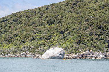 KAITERERERI, NEW ZEALAND - 15 Kasım 2019: Breton Mağarası 'ndaki büyük yuvarlak granit kayanın yanında yelken açan kano filosuyla manzara, 15 Kasım 2019' da Kaiteritereri, Abel Tasman Park, Güney Adası, Yeni Zelanda yakınlarında parlak bahar ışığında çekildi.