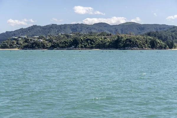 Kaiteriteri New Zealand November 2019 Landskap Med Kajak Flottilj Segling — Stockfoto