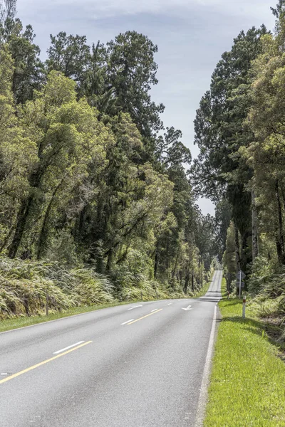 Landscape Highway Going Uphill Downhill Rain Forest Shot Bright Spring — Stock Photo, Image