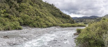 Yeşil vadide Waikukupa nehri manzarası, Fox Buzulu, Batı Yakası, Güney Adası, Yeni Zelanda yakınlarındaki açık bahar bulutlu ışıkta çekildi.