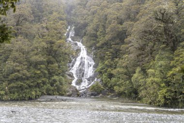 Yeşil ormandaki şelaleler Haast Nehri 'nde, Fantail Şelalesi' nde parlak bahar bulutlu ışıklarda çekilen manzara, Batı Yakası, Güney Adası, Yeni Zelanda
