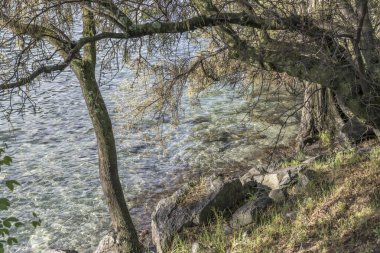 Şehir Wakatipu Gölü 'nün berrak sularıyla turistik kasaba körfezinde, Queenstown, Otago, Güney Adası, Yeni Zelanda' da parlak bahar ışığında çekildi.