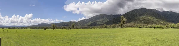 Paesaggio Con Prati Verdi Campagna Girato Piena Luce Tarda Primavera — Foto Stock