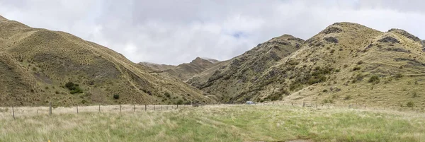 赤いタソックス草と緑の谷の風景 Roaring Meg近くの明るい春の光で撮影 オタゴ ニュージーランド — ストック写真