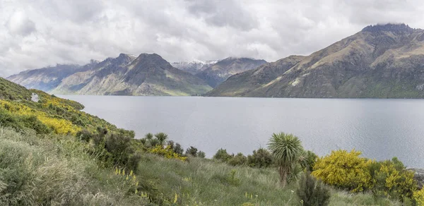 Τοπίο Πράσινες Ακτές Της Λίμνης Wakatipu Νότιο Τμήμα Πυροβόλησε Στο — Φωτογραφία Αρχείου