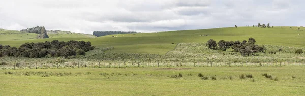 Paysage Avec Campagne Verdoyante Vallonnée Tourné Dans Lumière Vive Printemps — Photo