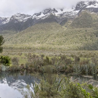  Earl Dağları sıradağları odunsu yamaçları Ayna Gölleri suyuna yansıyor, Fiordland Park, Southland, Güney Adası, Yeni Zelanda 'da parlak bulutlu bir ışıkta çekiliyor.