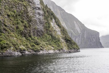 Dik kayalık fiyort kıyısındaki yemyeşil yağmur ormanları Milford Sound, Southland, Güney Adası, Yeni Zelanda 'da parlak bulutlu bir ışık altında çekilmiştir.