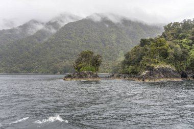Fiyort kıyısındaki kayalık ve pelerinli yoğun yağmur ormanları Milford Sound, Southland, Güney Adası, Yeni Zelanda 'da bulutlu parlak bir ışıkla çekiliyor.