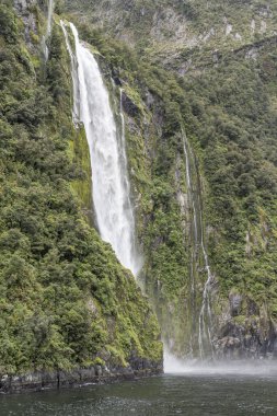 Uzun Stirling Sonbaharı ve bitki örtüsü fiyort kıyısındaki dik yamaçlara tutunmuş, Milford Sound, Southland, Güney Adası, Yeni Zelanda 'da bulutlu parlak bir ışıkta çekilmiş.