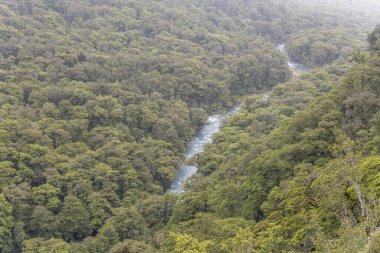 Yeşil vadideki Hollyford nehrinin hava manzarası. Yağmur ormanları yemyeşil bitki örtüsüyle kaplı. Babamın Fiordland Park, Southland, Güney Adası, Yeni Zelanda 'daki manzarası yakınlarında parlak bulutlu bir ışık altında çekilmiş.