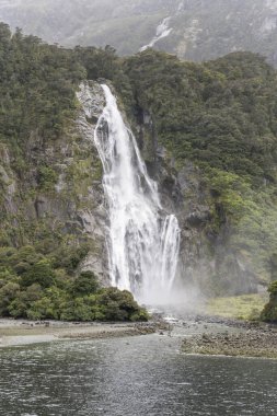 Bowen şelalesi ve fiyort kıyısındaki yoğun bitki örtüsü, Milford Sound, Southland, Güney Adası, Yeni Zelanda 'da parlak ışıkta çekildi.