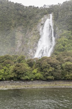 Bowen şelalesi ve fiyort kıyısındaki yoğun yağmur ormanı örtüsüyle kaplı manzara Milford Sound, Southland, Güney Adası, Yeni Zelanda 'da parlak ışıkta çekildi.