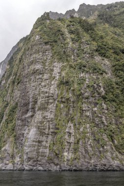 Fiyort kıyısındaki yüksek sarp kayalıklara tutunan kara kayalar ve bitki örtüsü olan manzara Milford Sound, Southland, Güney Adası, Yeni Zelanda 'da bulutlu parlak bir ışıkta çekildi.