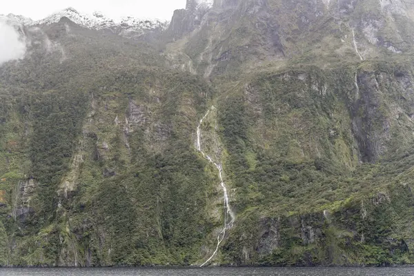 岩や雨の森の植生と風景フィヨルドの海岸で急な崖の上で ミルフォードサウンド サウスランド ニュージーランドで曇りの明るい光の中で撮影 — ストック写真