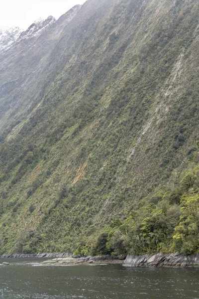 Paisagem Com Vegetação Agarrada Alto Penhasco Íngreme Costa Fiorde Filmado — Fotografia de Stock