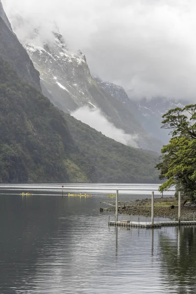Milford Sound Nueva Zelanda Noviembre 2019 Paisaje Con Flotilla Kayak — Foto de Stock
