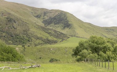 Yeşil kırsal kesimde ağaçlar ve tepe yamaçları olan manzara, Garston, Southland, Güney Adası, Yeni Zelanda yakınlarındaki parlak bahar ışığında çekilmiştir.