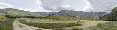 Toprak yolu, yeşil kırsal alandaki çayırlar ve tepeler, Luggate, Otago, South Island, Yeni Zelanda yakınlarında parlak bahar ışığında çekilen manzara