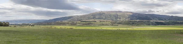 緑豊かな田舎の大規模な群れと灌漑スプリンクラーシステムを持つ風景 鹿谷近くの明るい春の光の中で撮影 オタゴ ニュージーランド — ストック写真
