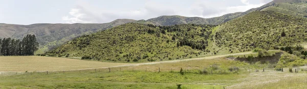 Hilly Kırsalında Yeşil Yemyeşil Yamaçlı Manzara Luggate Otago Güney Adası — Stok fotoğraf