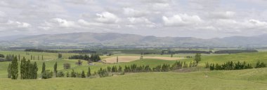 Orta Vadi 'nin yeşil kırsallı manzarası, Cattle Vadisi, Canterbury, Güney Adası, Yeni Zelanda yakınlarındaki açık bahar bulutlu ışıkta çekildi.