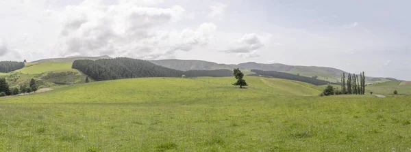 Landscape Mild Slopes Green Countryside Shot Bright Spring Light Kakahu — Stock Photo, Image