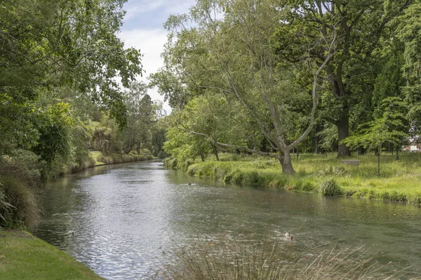 Cityscape Lush Vegetation Avon River Shores Botanic Gardens Shot Bright — Stock Photo, Image