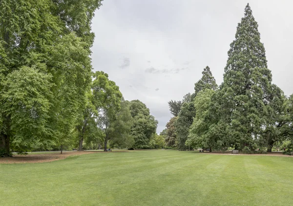 Cityscape Green Glade Big Trees Botanic Gardens Shot Bright Spring — Stock Photo, Image