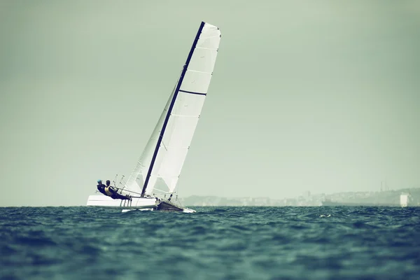 Yelkenli tekne yarışı — Stok fotoğraf