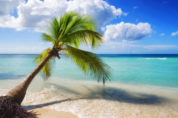Paysage de plage des Caraïbes — Photo