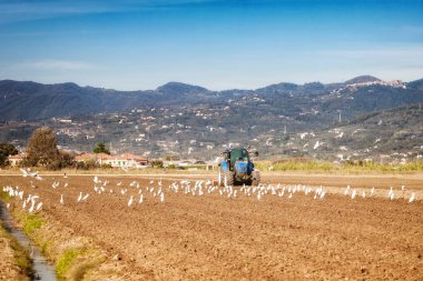 Tarım kavramı ile bir sahada çalışan traktör