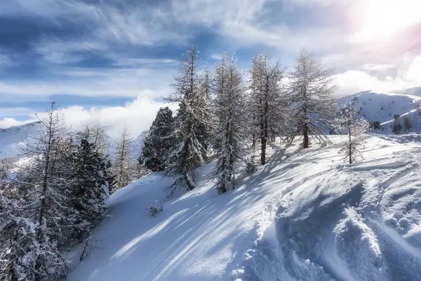 Winterlandschap in de bergen — Stockfoto