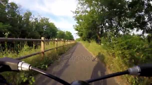 Radeln auf dem Radweg im Park — Stockvideo