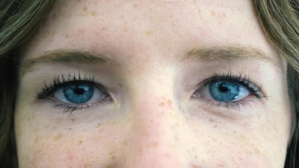 Close up van blauwe ogen jonge vrouw gezicht Stockvideo