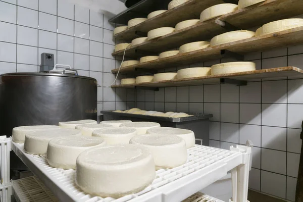 Handgemachter italienischer Käse in Bergbauernhof — Stockfoto