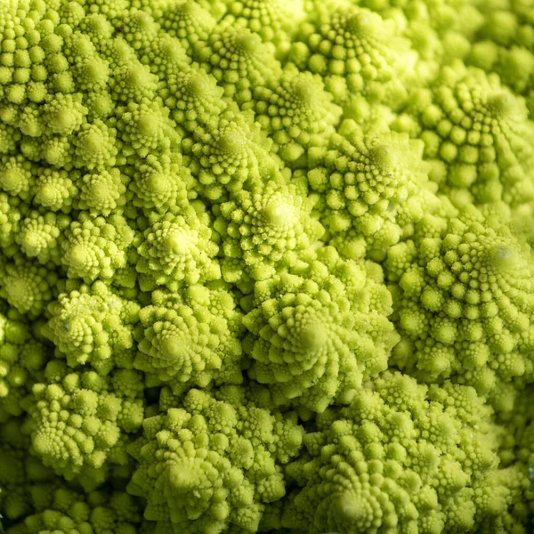 Romanesco Brokkoli Oder Römischer Blumenkohl Mit Seiner Fraktalen Form — Stockfoto