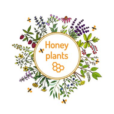 Plants - nectar sources for honey bees clipart